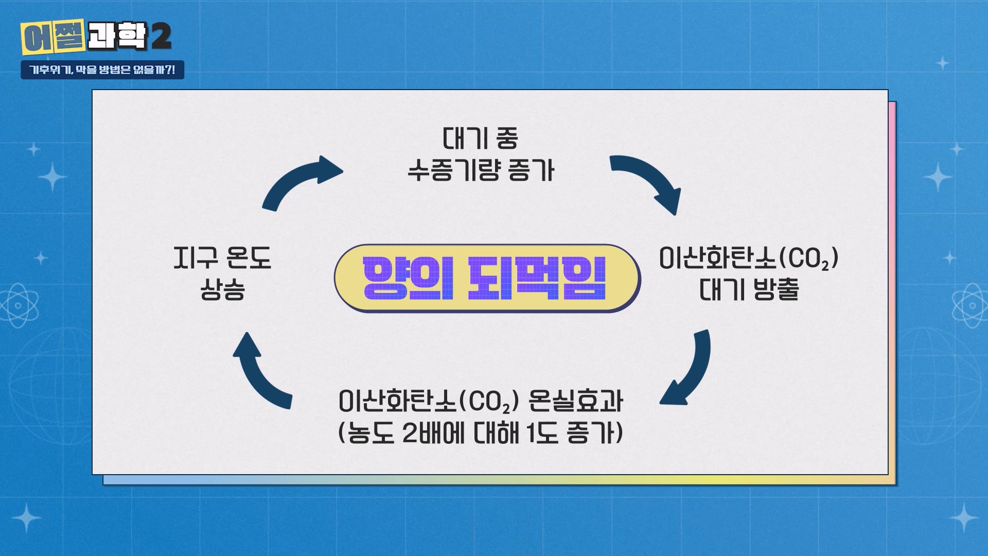 양의 되먹임